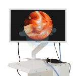 Система эндоскопической визуализации DS.Vision FHD 3in1